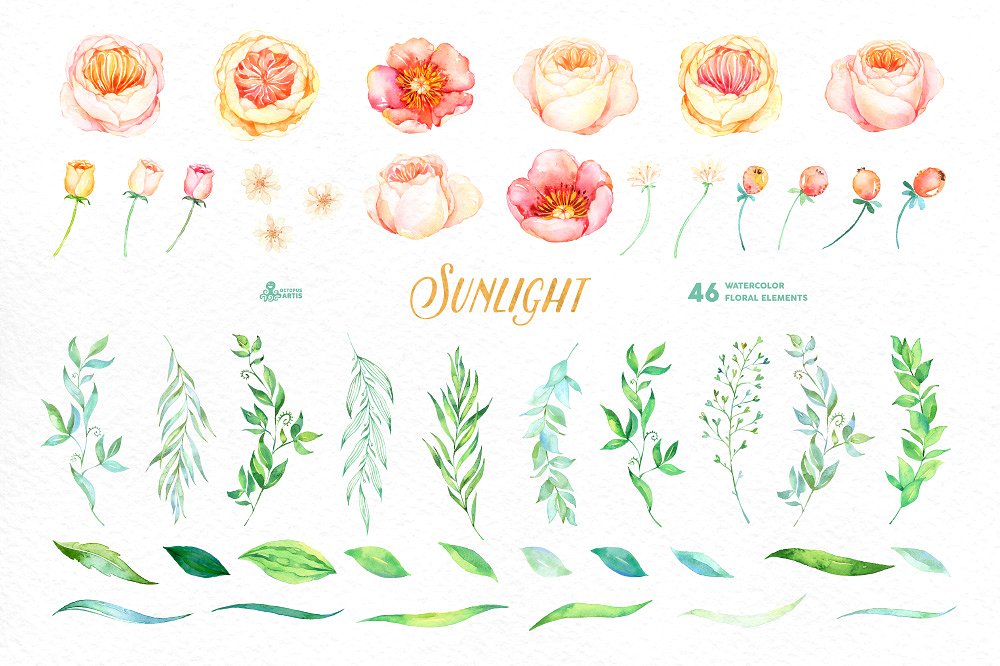 46款高质量手绘水彩花卉设计素材 Sunlight. Flo