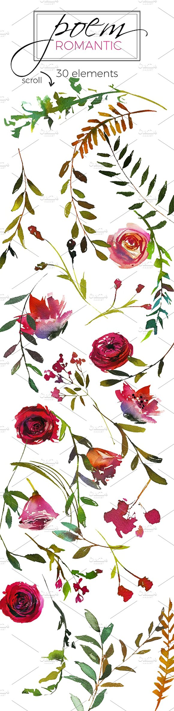 红色品红色水彩花卉插画素材 Red-Magenta-Wate