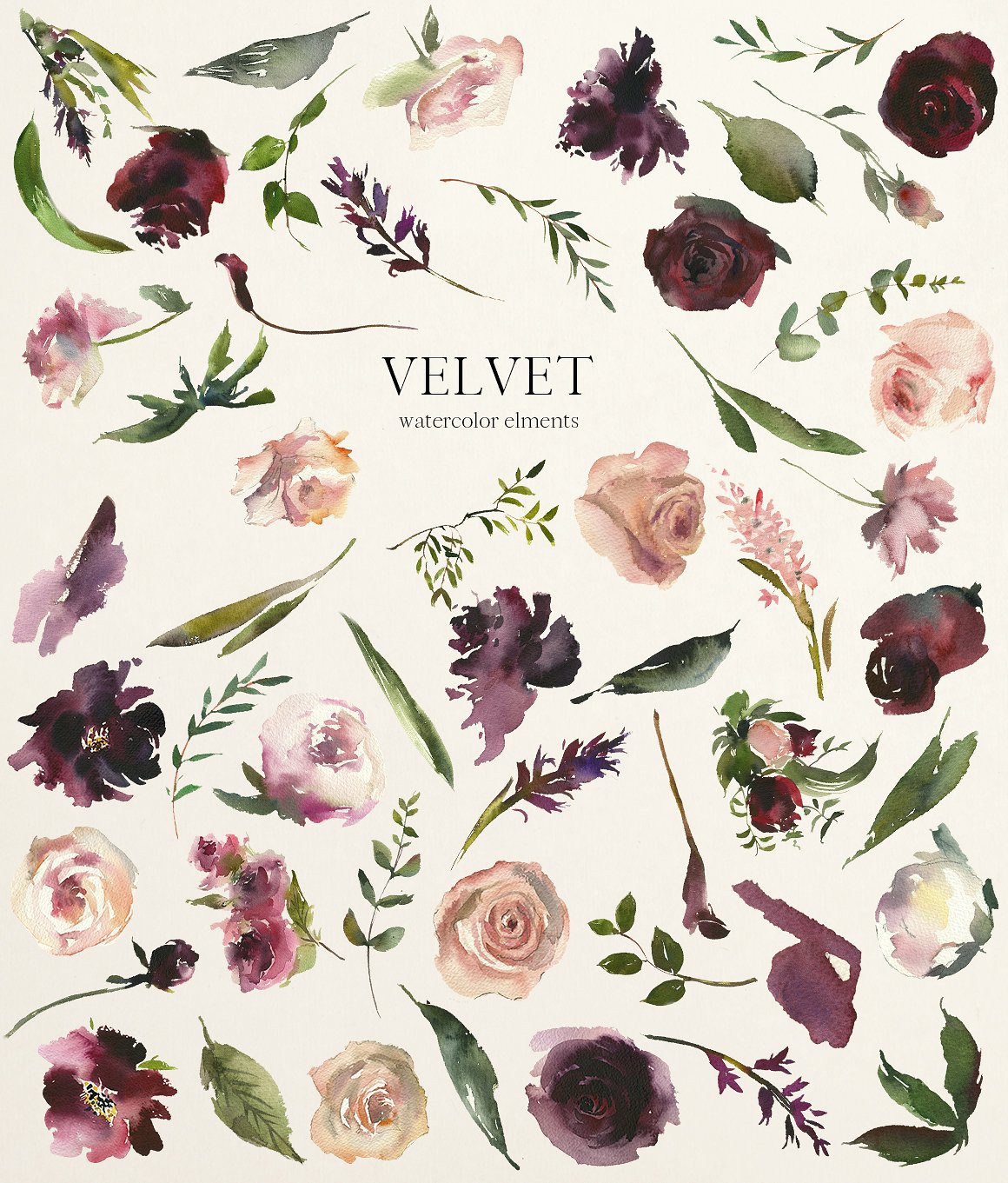 优雅精致手绘水彩花卉剪贴画 Velvet-Watercolo