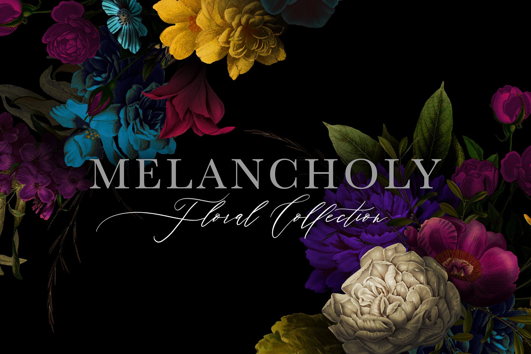 忧郁格调复古花卉插画素材 Melancholy-Floral