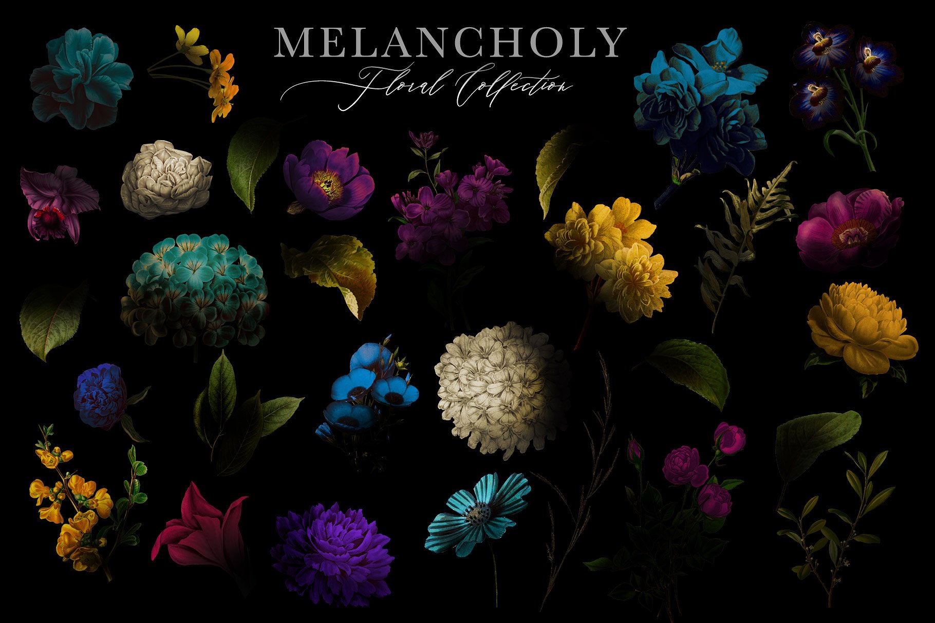 忧郁格调复古花卉插画素材 Melancholy-Floral