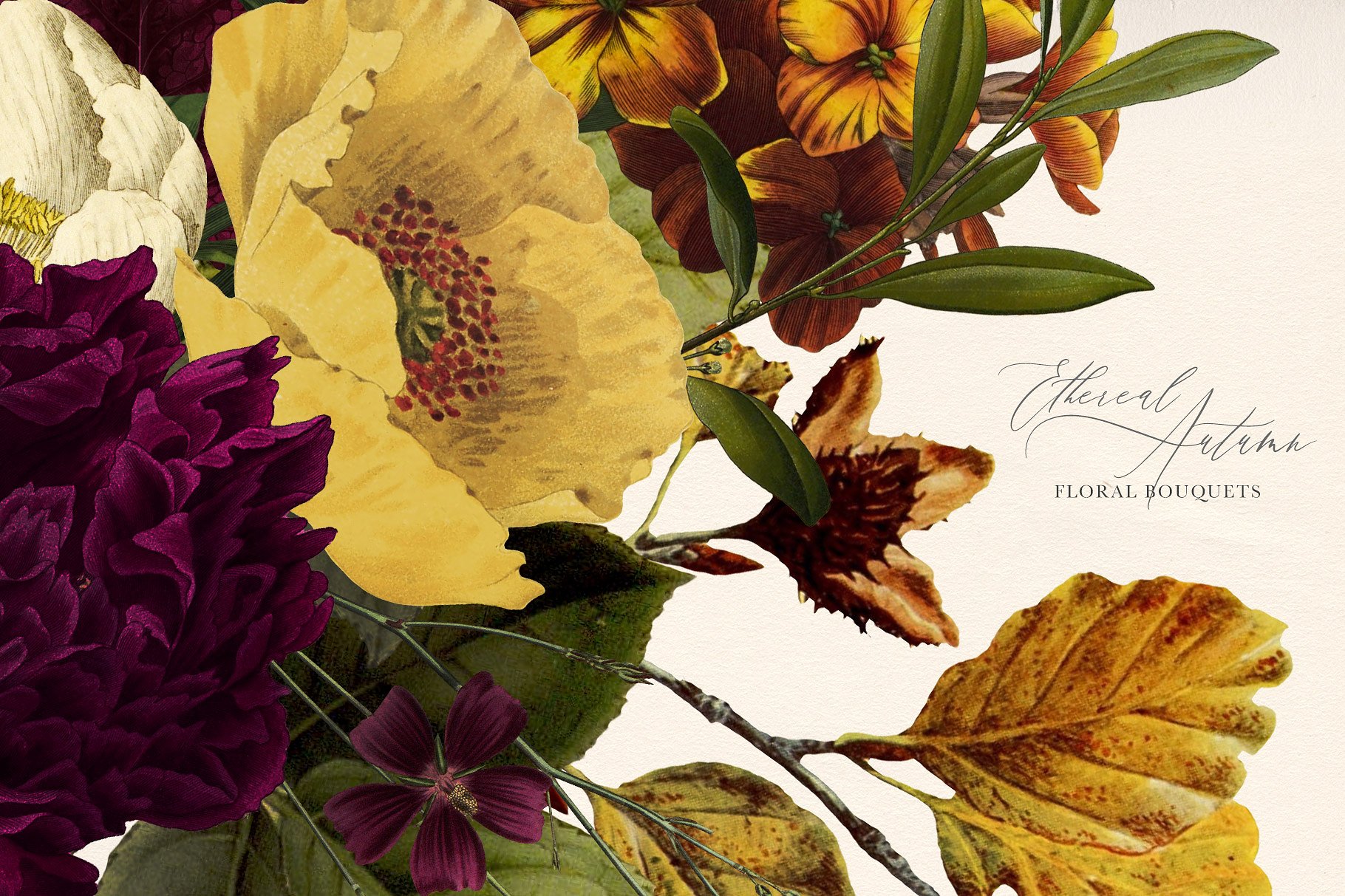 栩栩如生的秋天复古花束插图素材 Ethereal-Autum