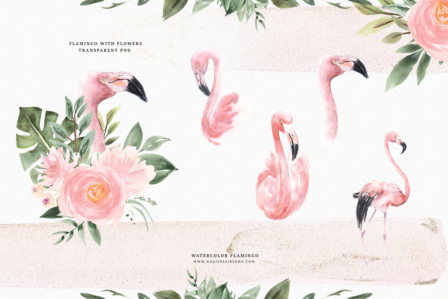 火烈鸟与鲜花矢量水彩插画 Watercolor-Flamin