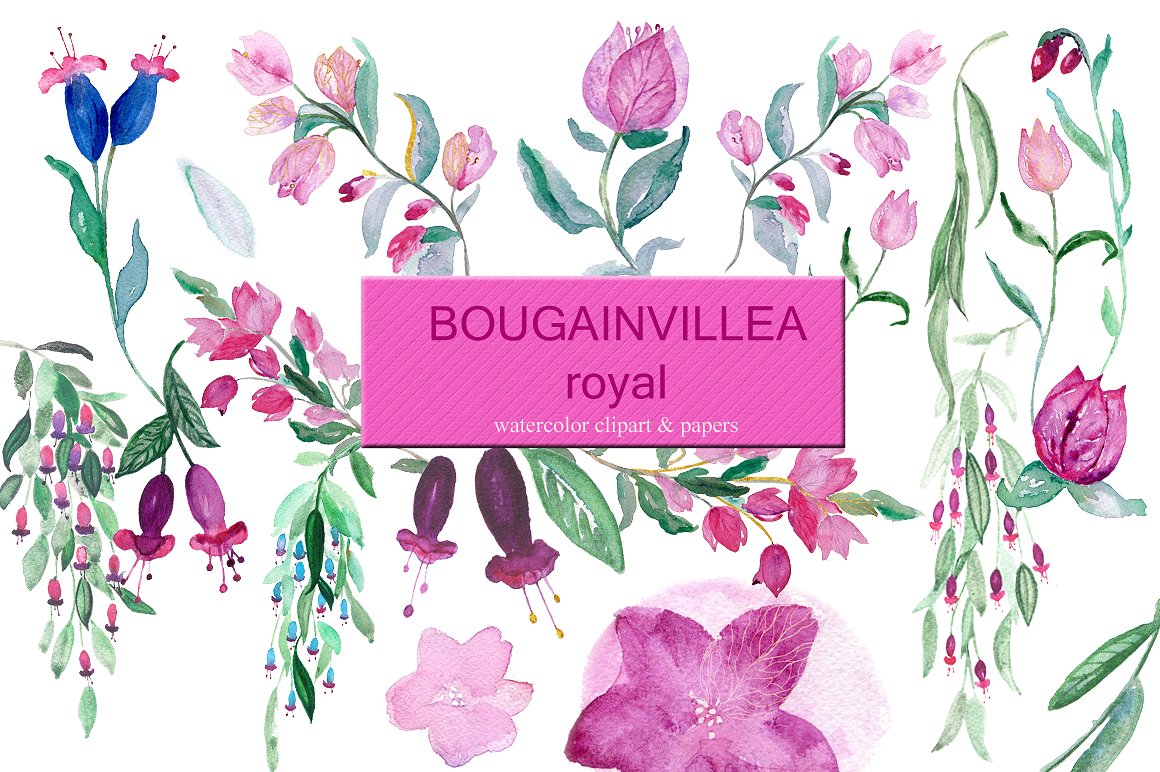手绘水彩植物花设计素材 Bougainvillea-fuch