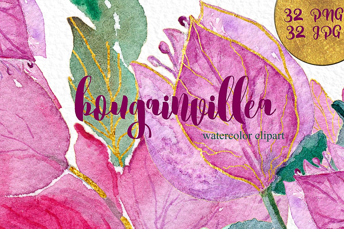 手绘水彩植物花设计素材 Bougainvillea-fuch