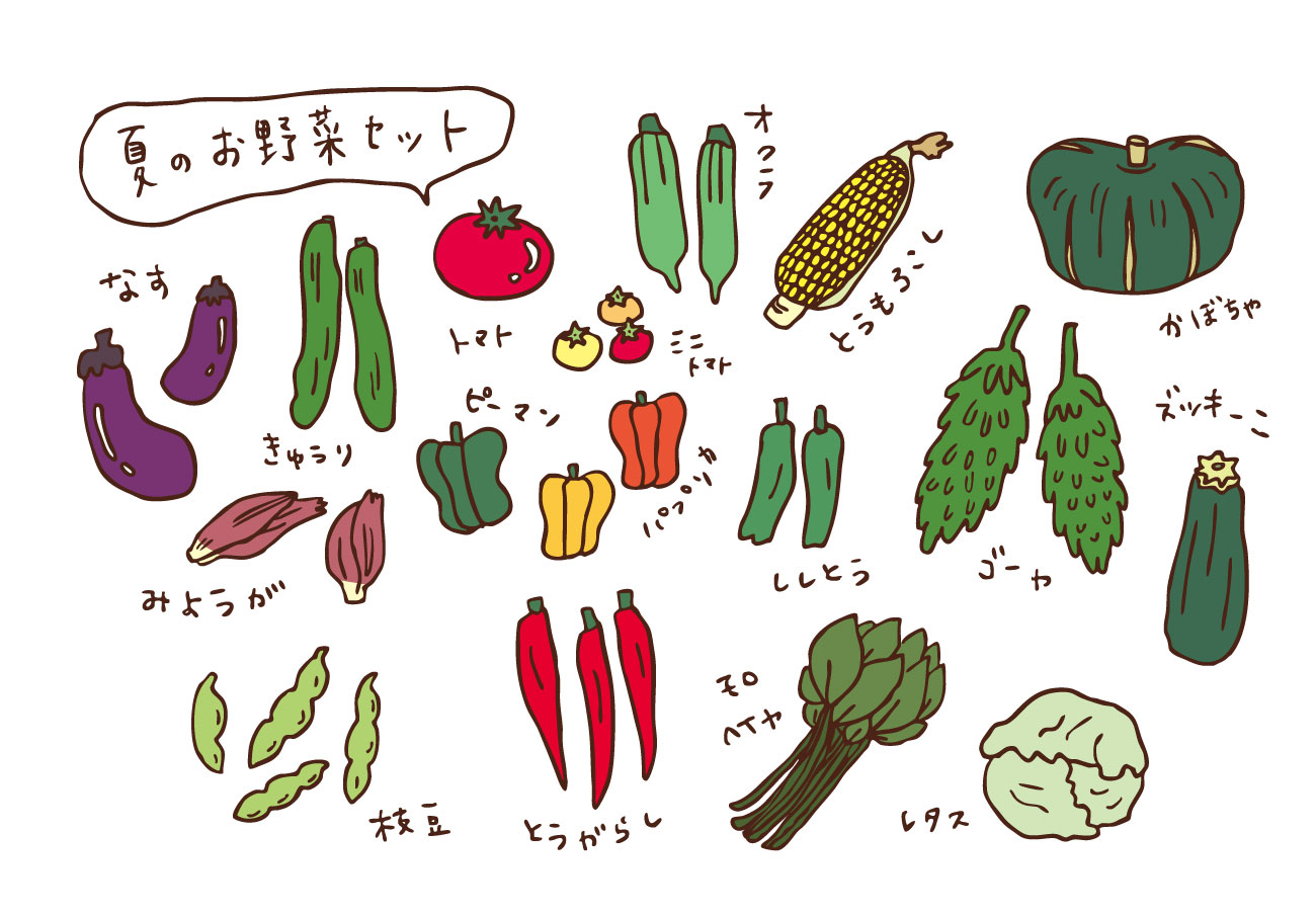 手绘描线菜四季蔬菜水果瓜果广告设计矢量彩色插画
