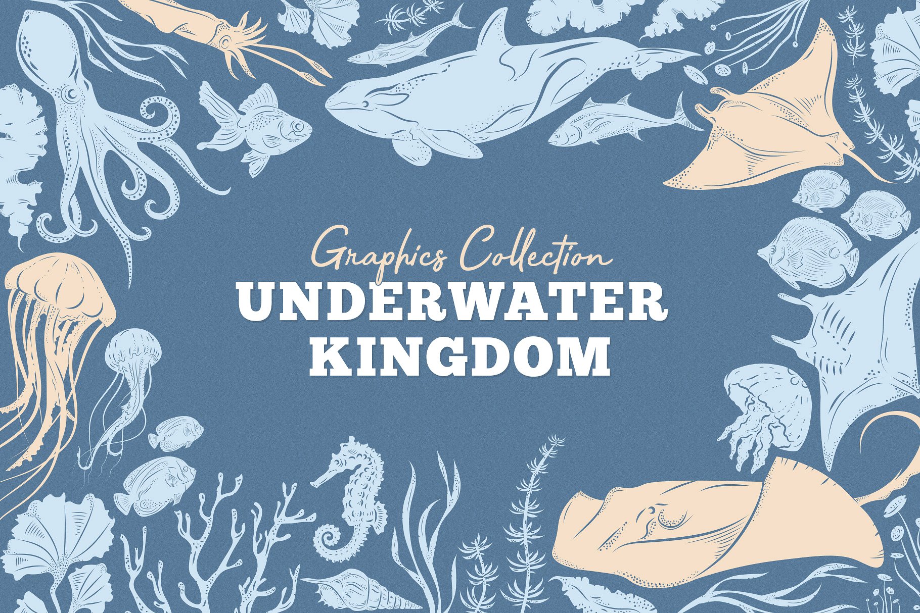 海洋主题矢量海洋动物插画设计素材 Underwater-K