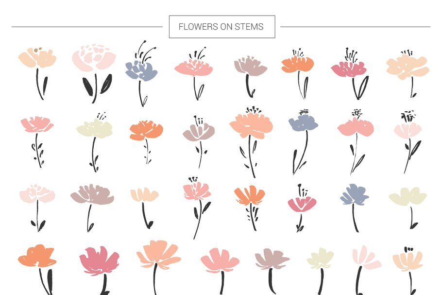 矢量手绘花卉&植物插画设计素材 Floral-me