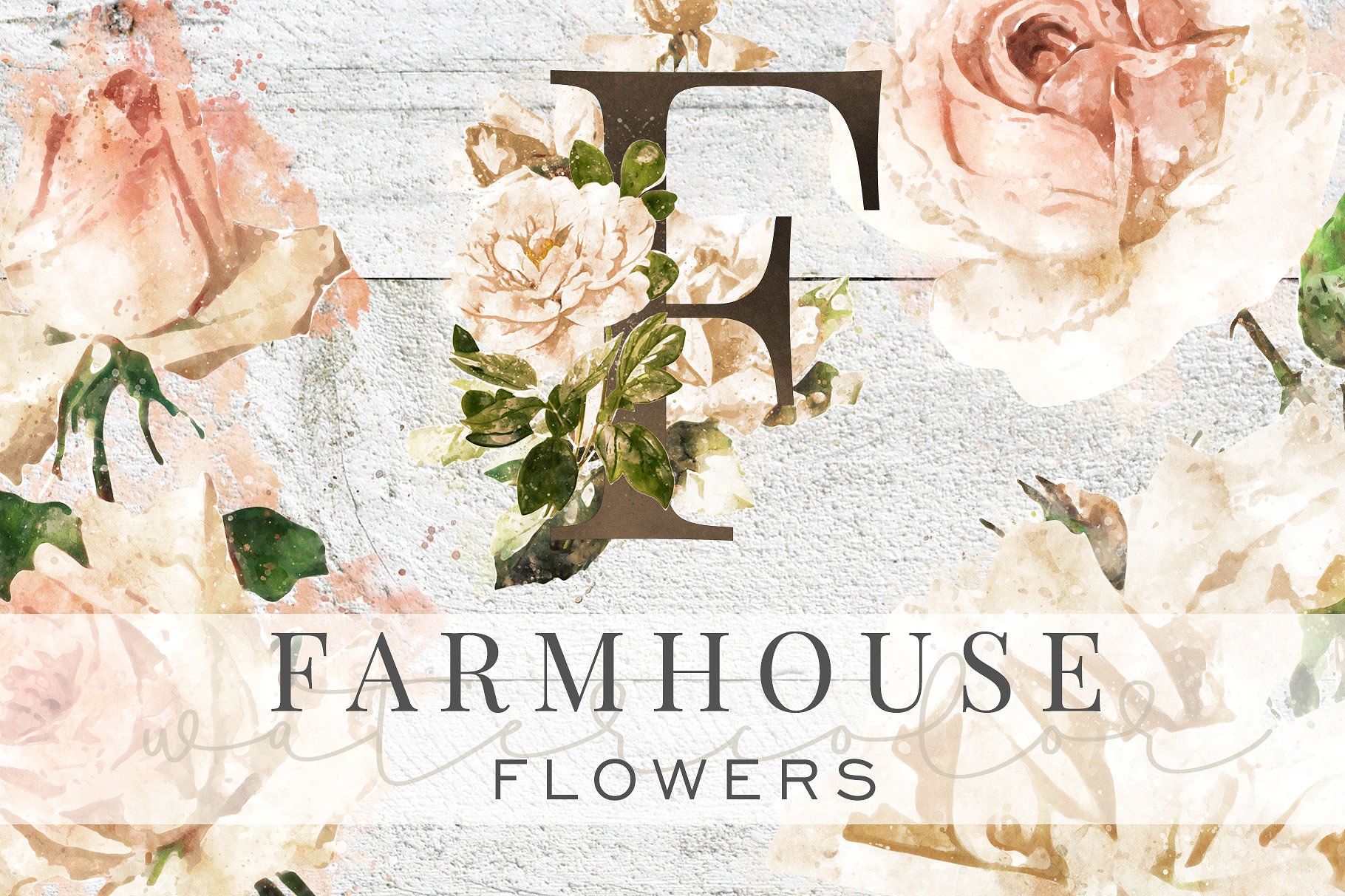手绘水彩玫瑰花卉字母设计素材 Farmhouse-Water