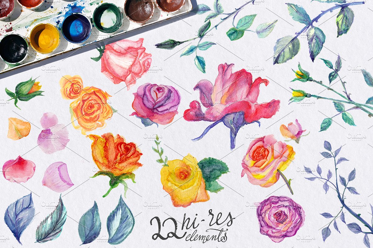 手绘水彩花卉植物设计素材 Watercolor-Roses-