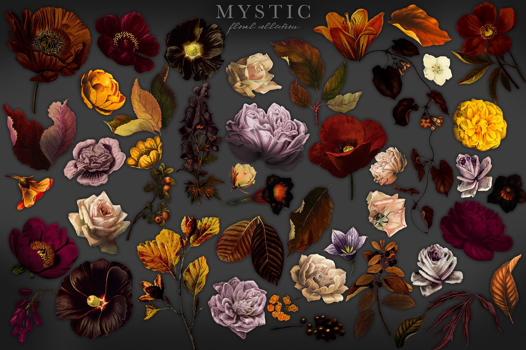 神秘花卉系列设计素材 Mystic-Floral-Colle