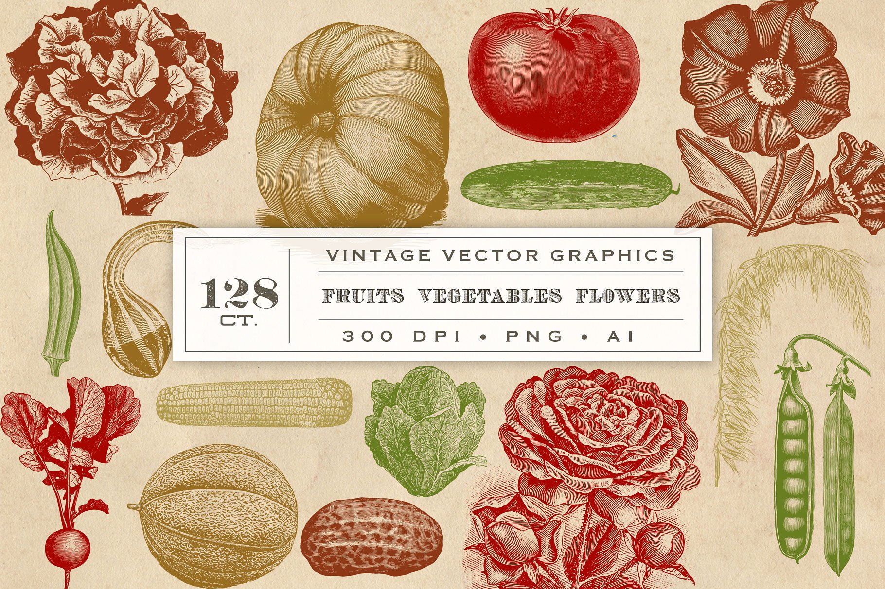 复古蔬菜水果图形设计素材Vintage Fruit Vege