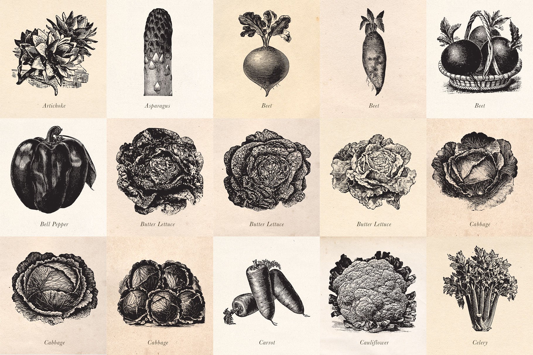 复古水果Vintage Fruit Vegetables -