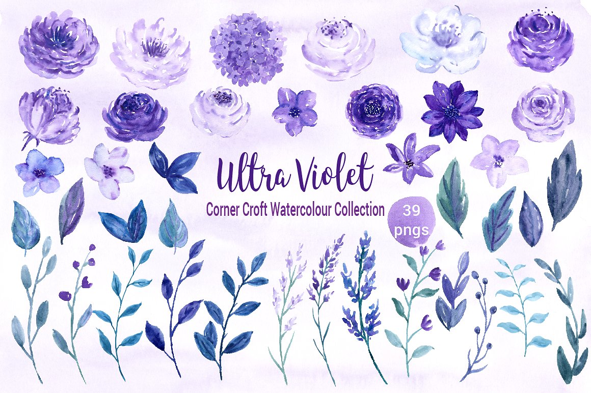 水彩紫罗兰花卉设计素材 Watercolor-Ultra-V