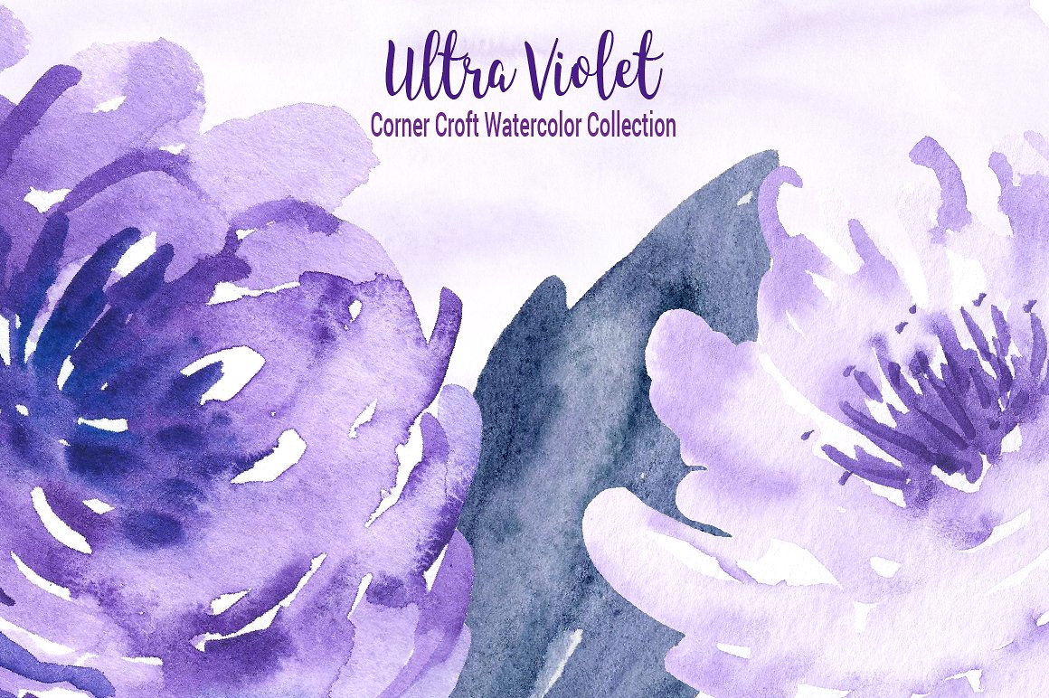 水彩紫罗兰花卉设计素材 Watercolor-Ultra-V