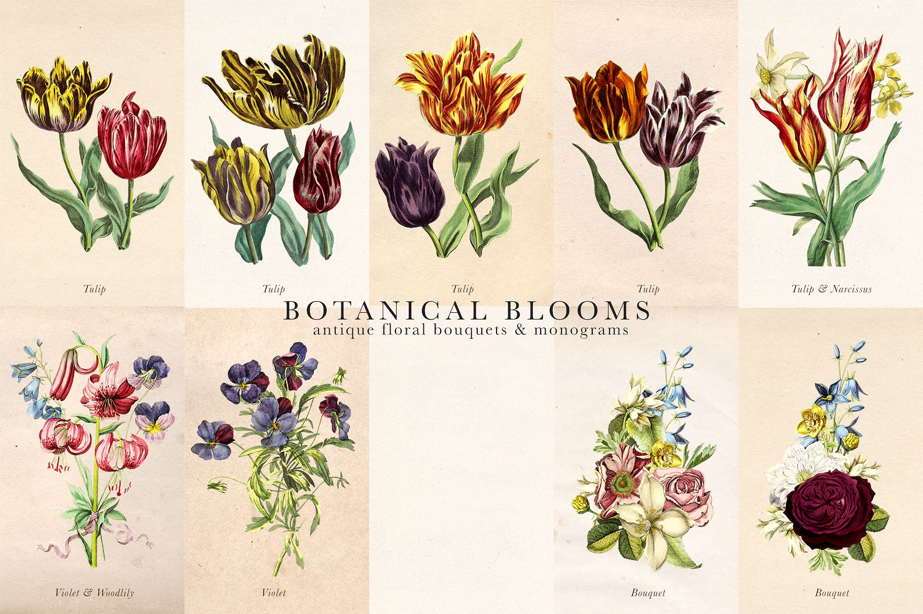 复古手绘花卉植物字母设计素材 Botanical-Bloo