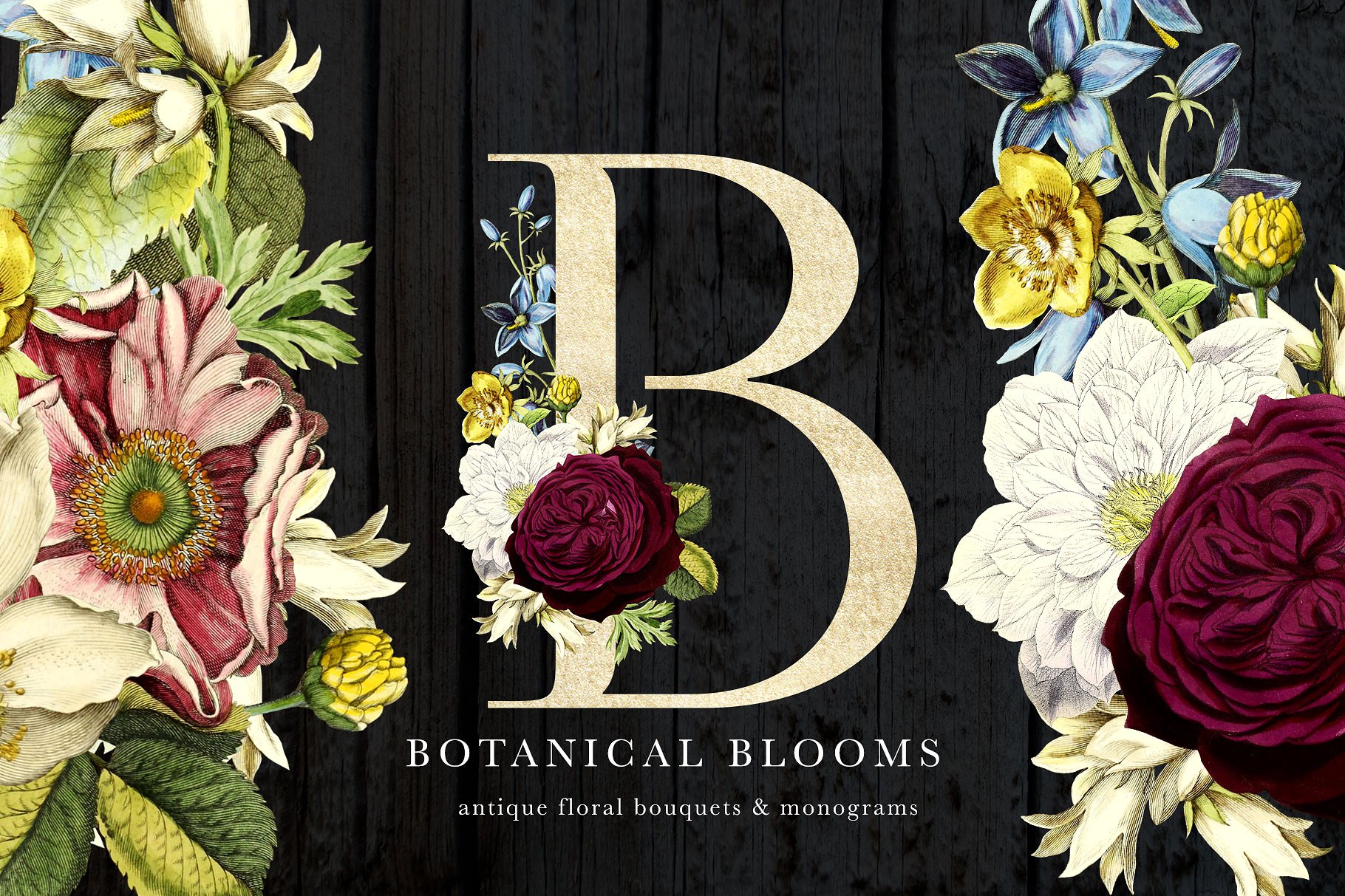 花卉字母素材包Botanical Blooms &