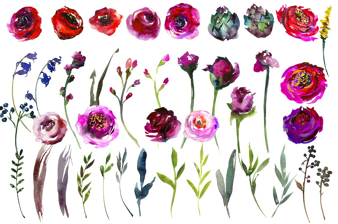 鲜艳的紫色手绘水彩花卉植物设计素材 Bright-Purpl