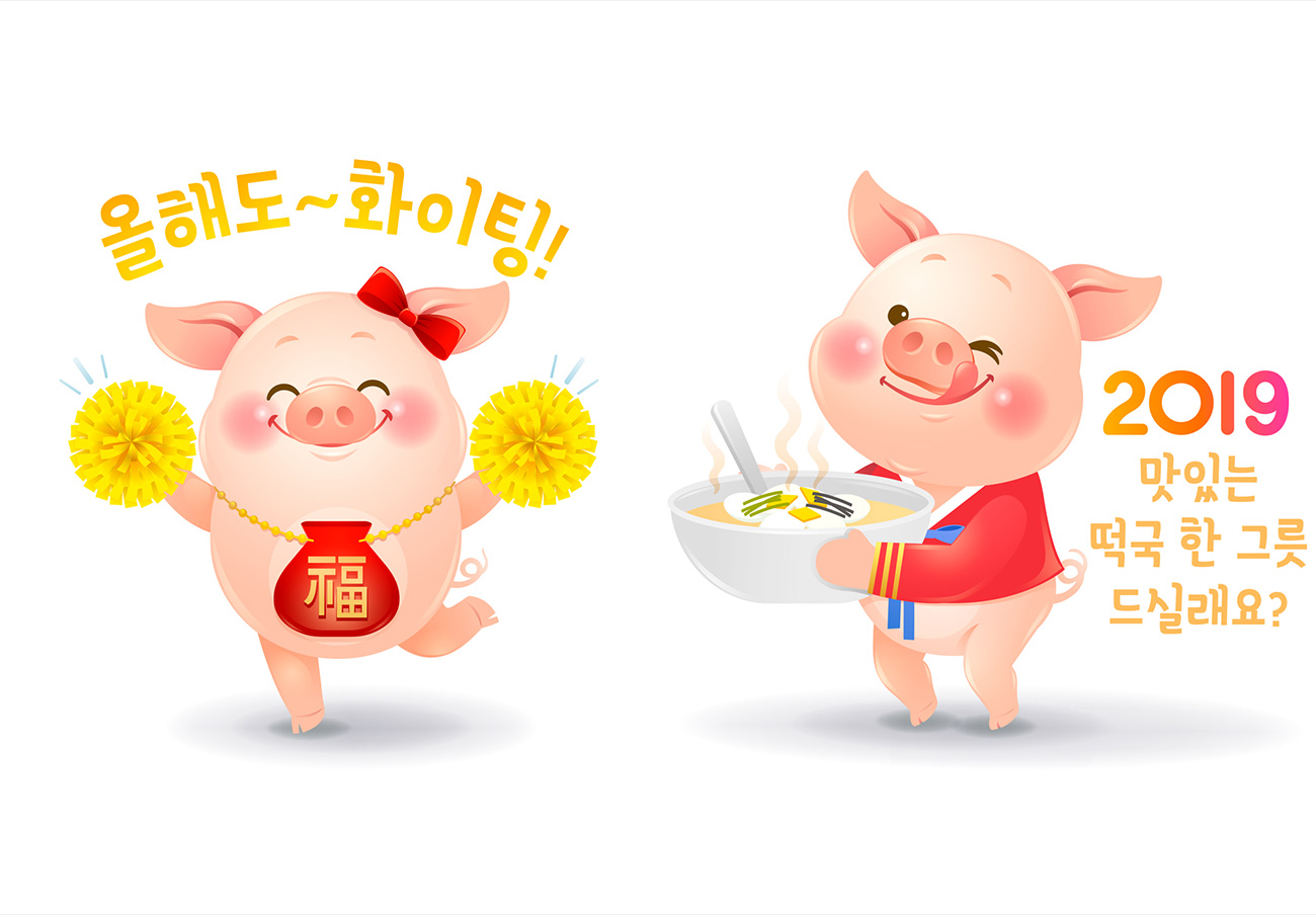 2019新年传统生肖猪年卡通形象矢量插画素材合集包
