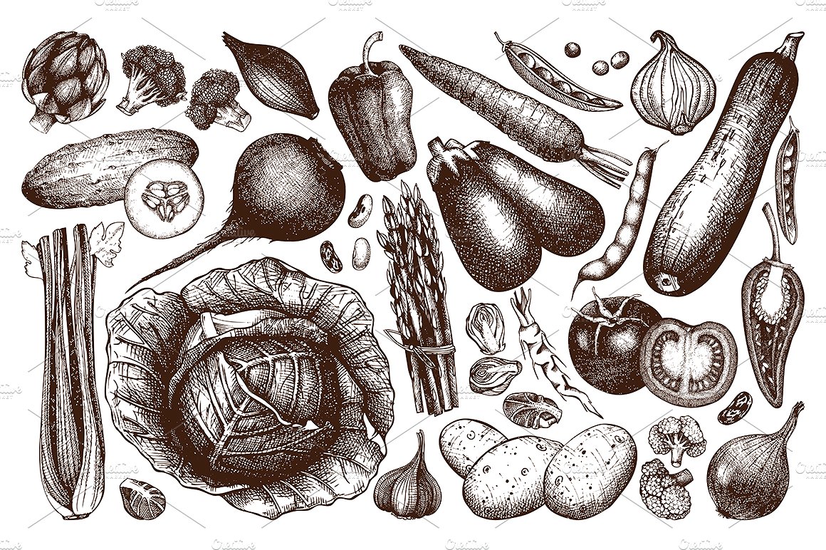 复古手绘蔬菜草图设计素材 Hand-Drawn-Vegeta