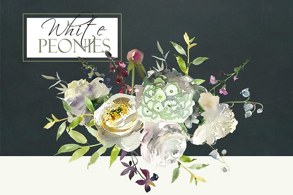 手绘水彩花卉植物元素Watercolor White Flo