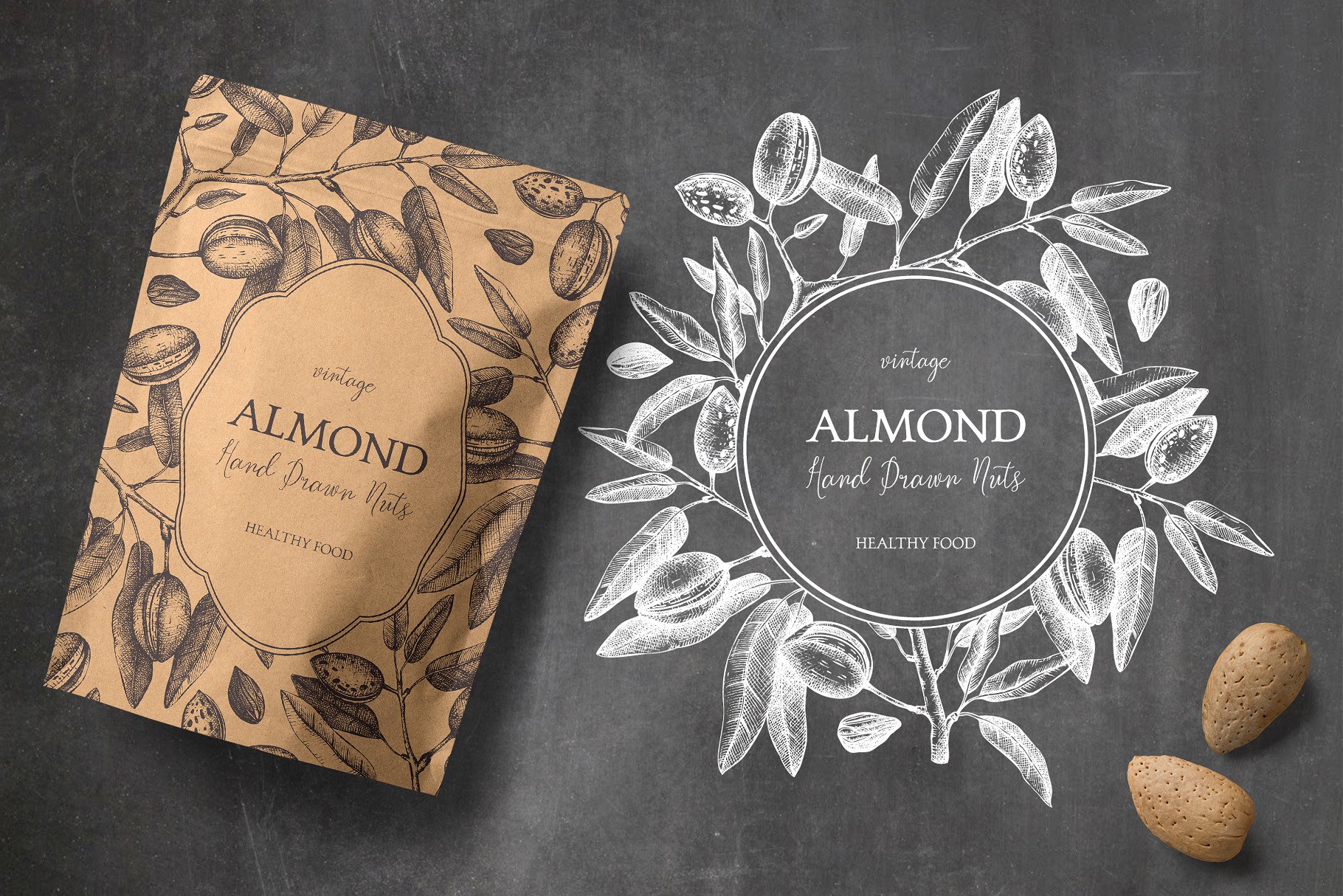 复古手绘坚果和树叶设计素材Vector Almond, Ha