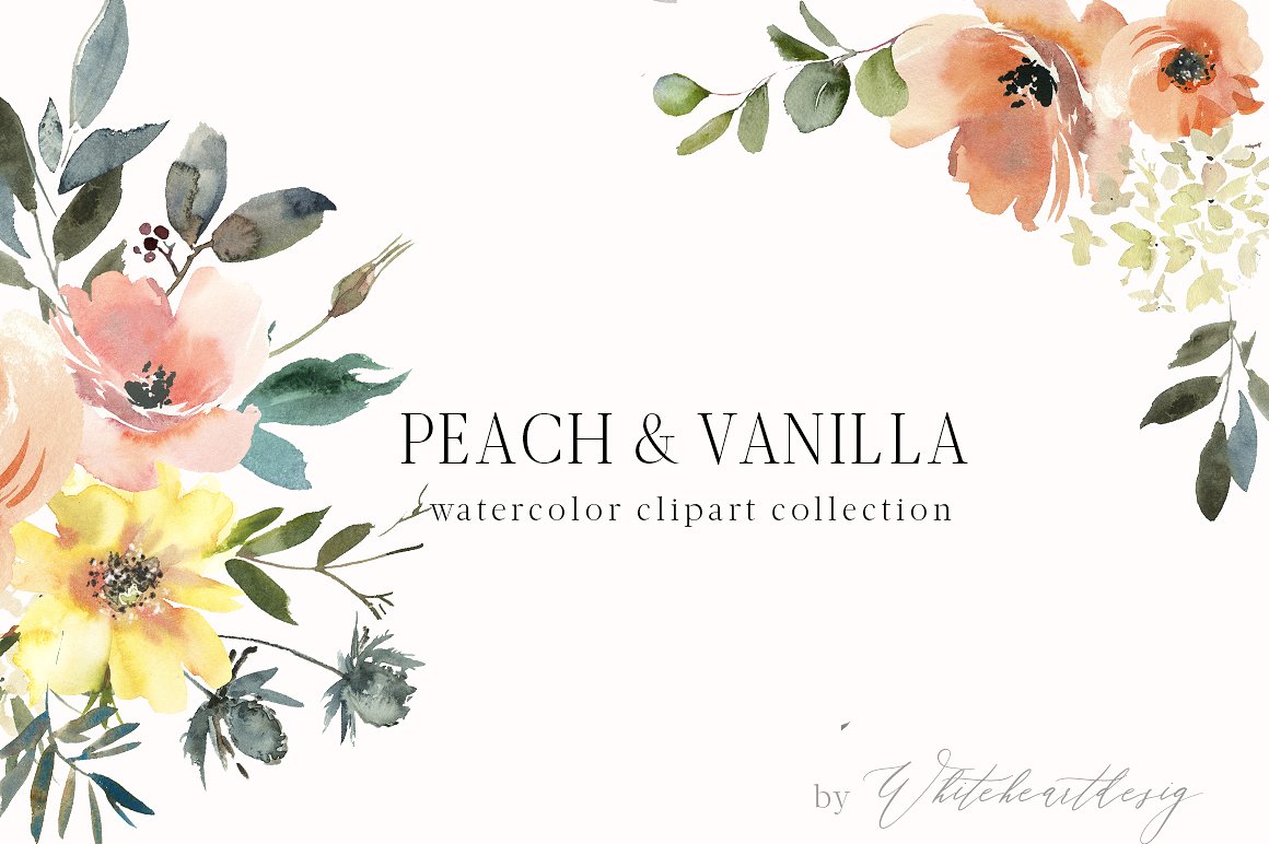手绘水彩秋季花卉设计素材 Peach-Vanilla-Wat