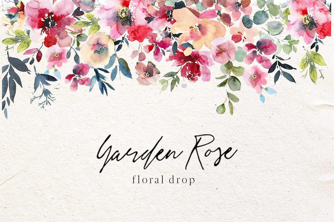 Garden Rose Watercolor Floral