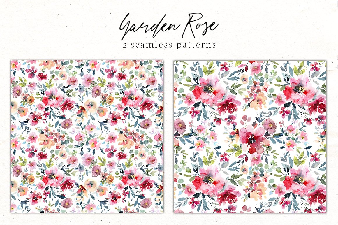 Garden Rose Watercolor Floral