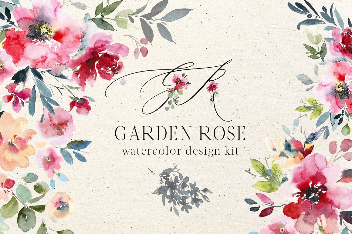 Garden Rose Watercolor Floral