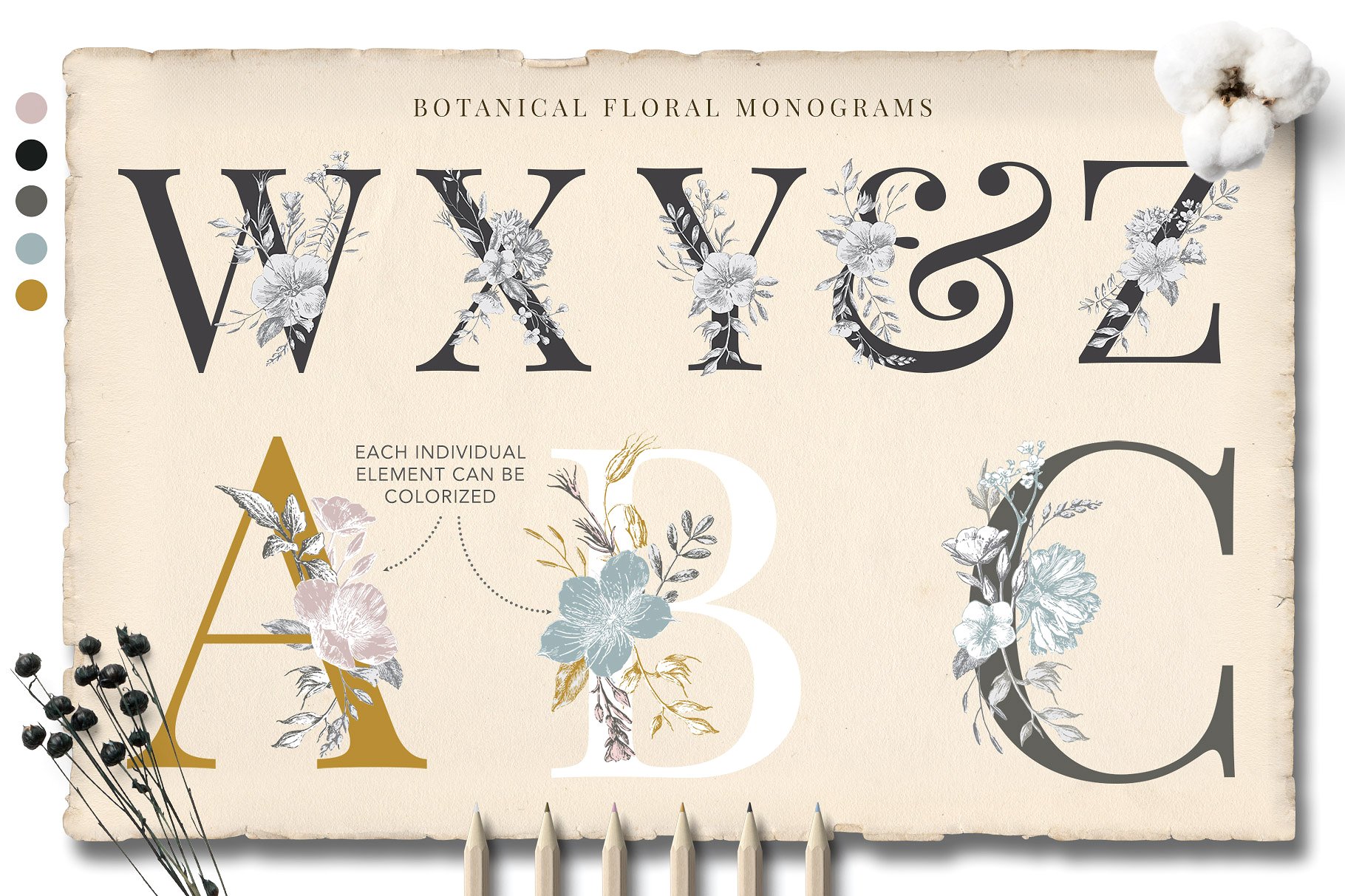 矢量复古手绘花卉字母设计素材 Botanical-Curio