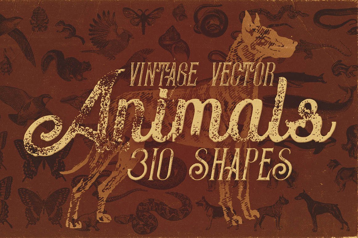 复古风格爬行动物插图素材310 Vintage Animal