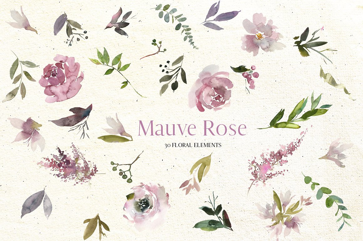 手绘水彩淡紫色花卉植物设计素材 Mauve-Rose-Wat