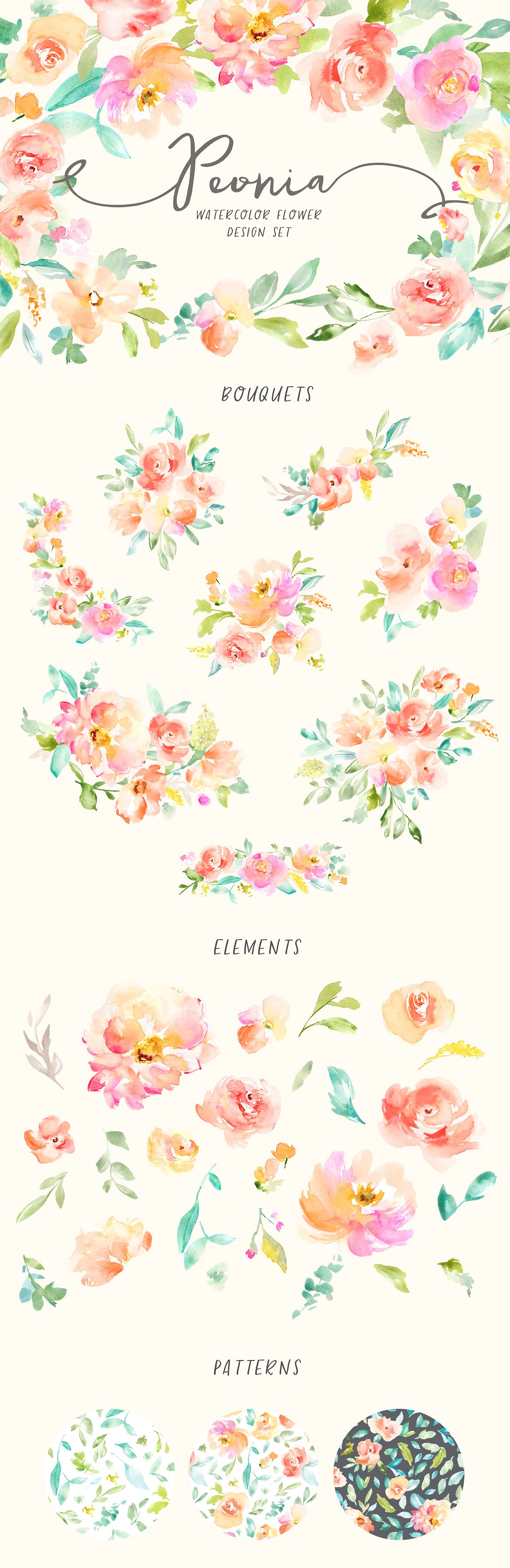 手绘水彩花卉植物设计素材 Peonia-Watercolor