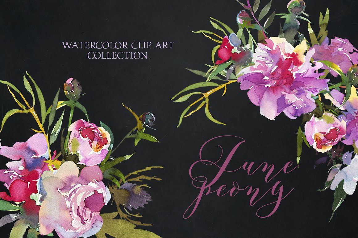 手绘水彩牡丹花卉设计素材 40off-Peony-Water