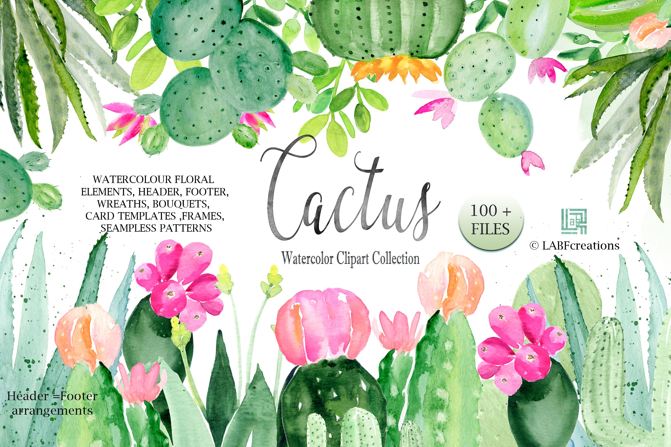 手绘水彩植物仙人掌芦荟插图素材 Cactus-waterco