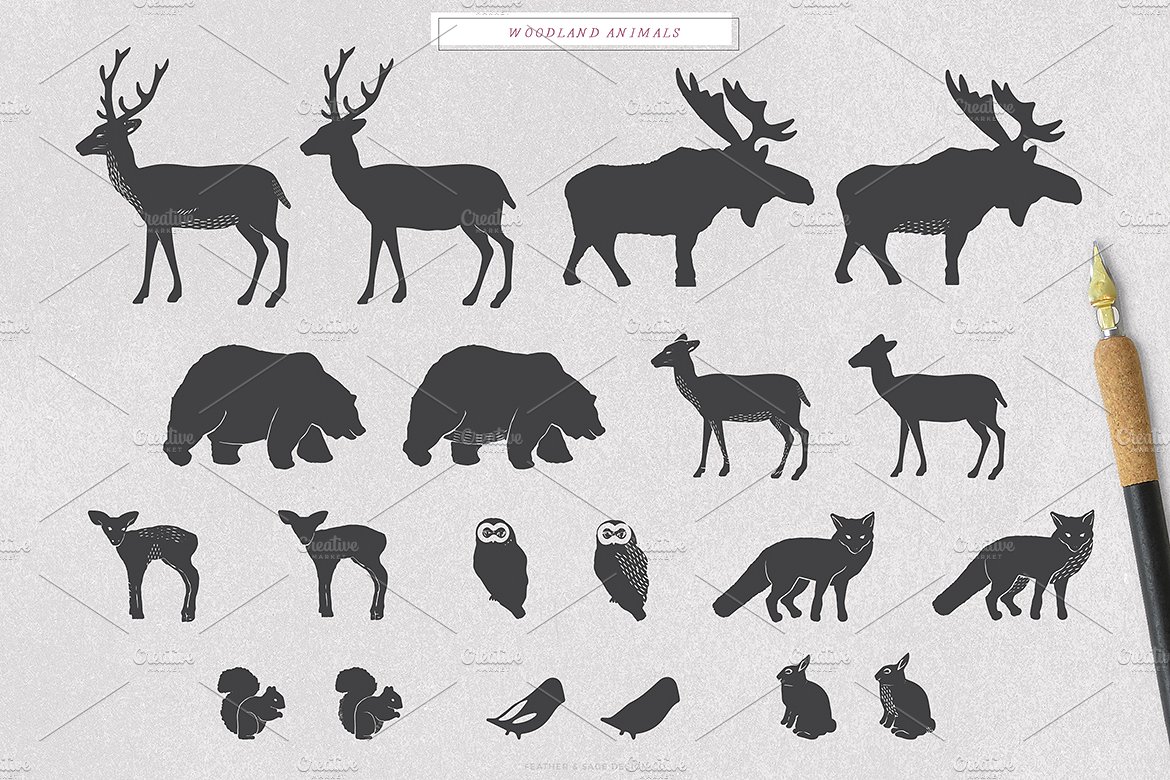 森林主题手绘森林动物插图素材 Woodlands-Winte