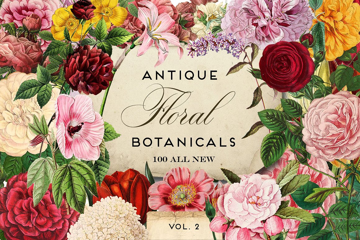 复古老式坏植物设计素材 Antique-Botanical-