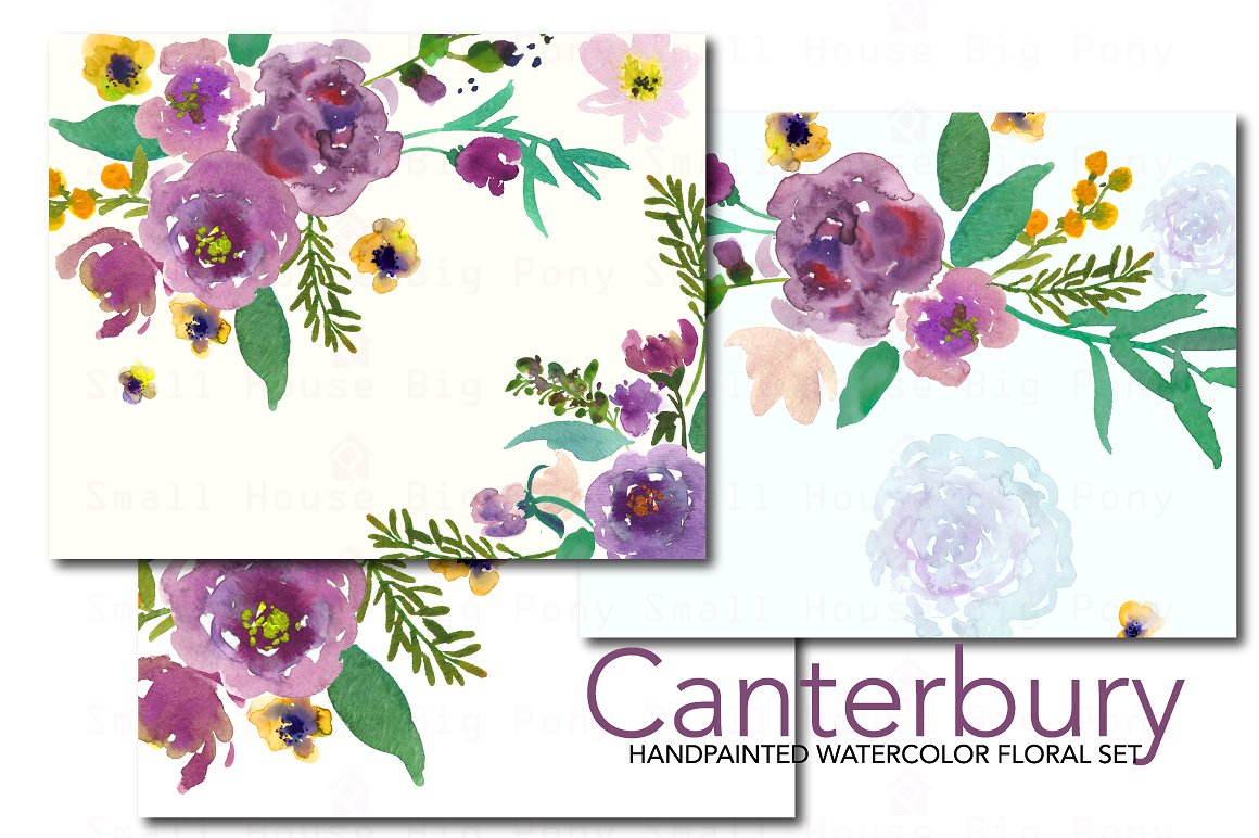 手绘水彩花卉植物设计元素 Canterbury-Waterc