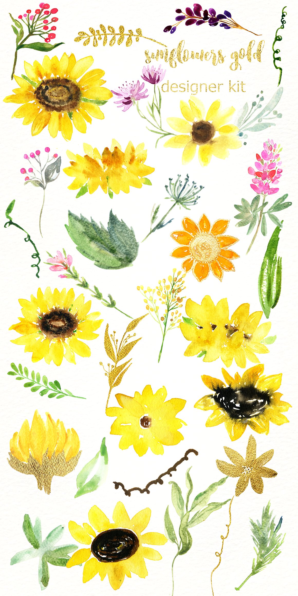 手绘水彩花卉设计素材Sunflowers gold &