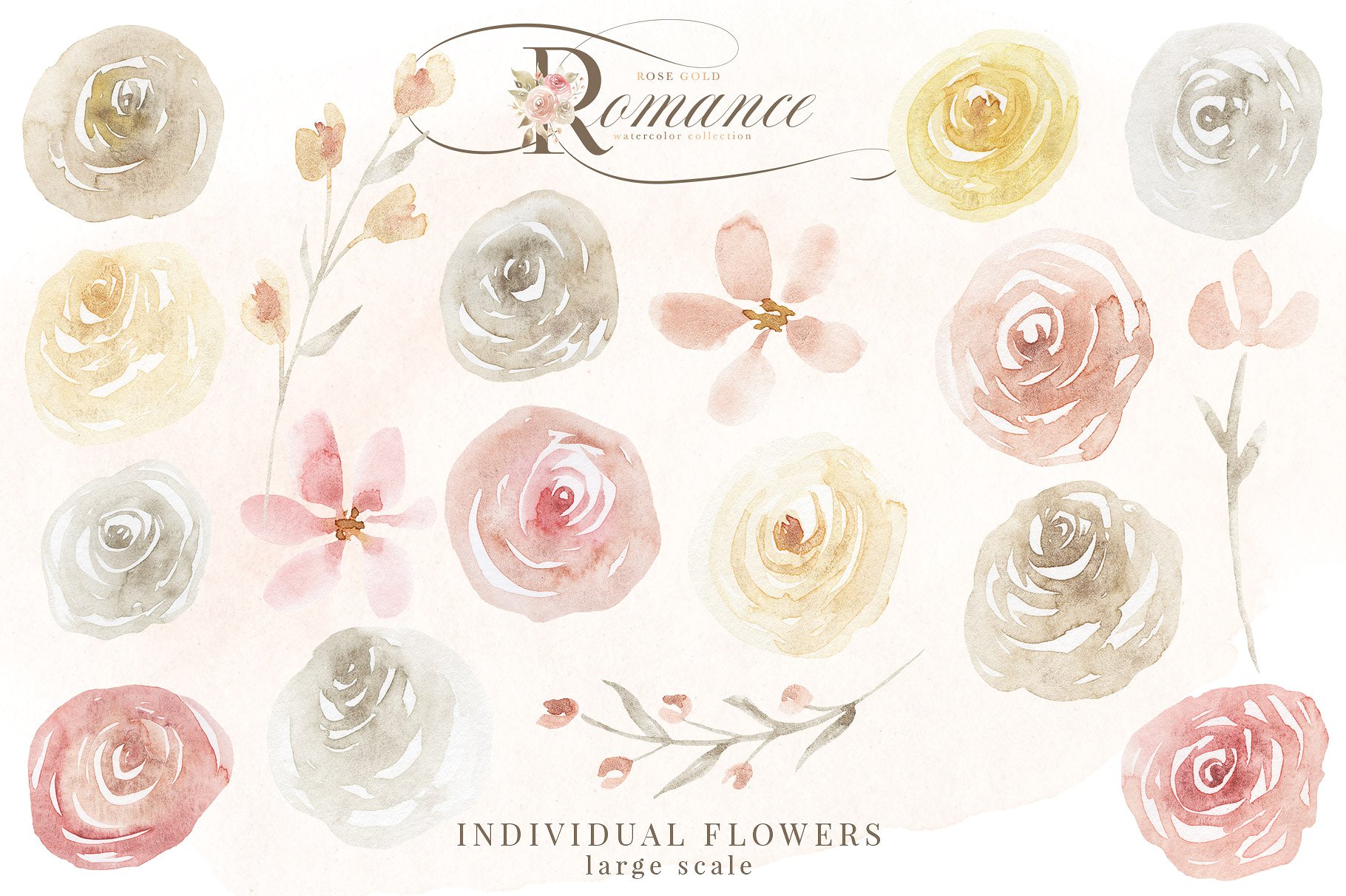 手绘水彩浪漫玫瑰花卉植物设计素材 Rose-Gold-Rom