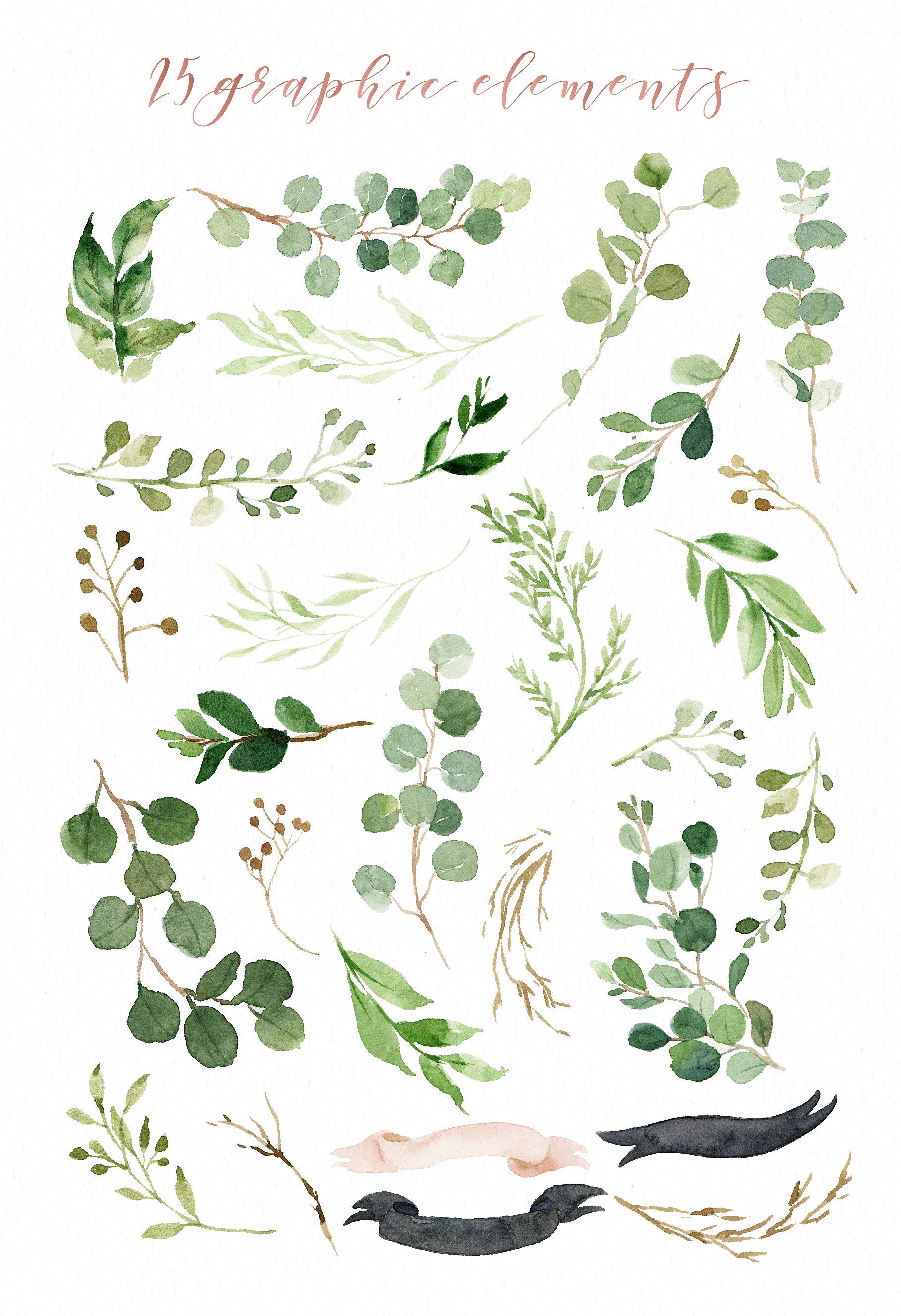 手绘水彩绿色森林树叶设计元素Watercolor Green