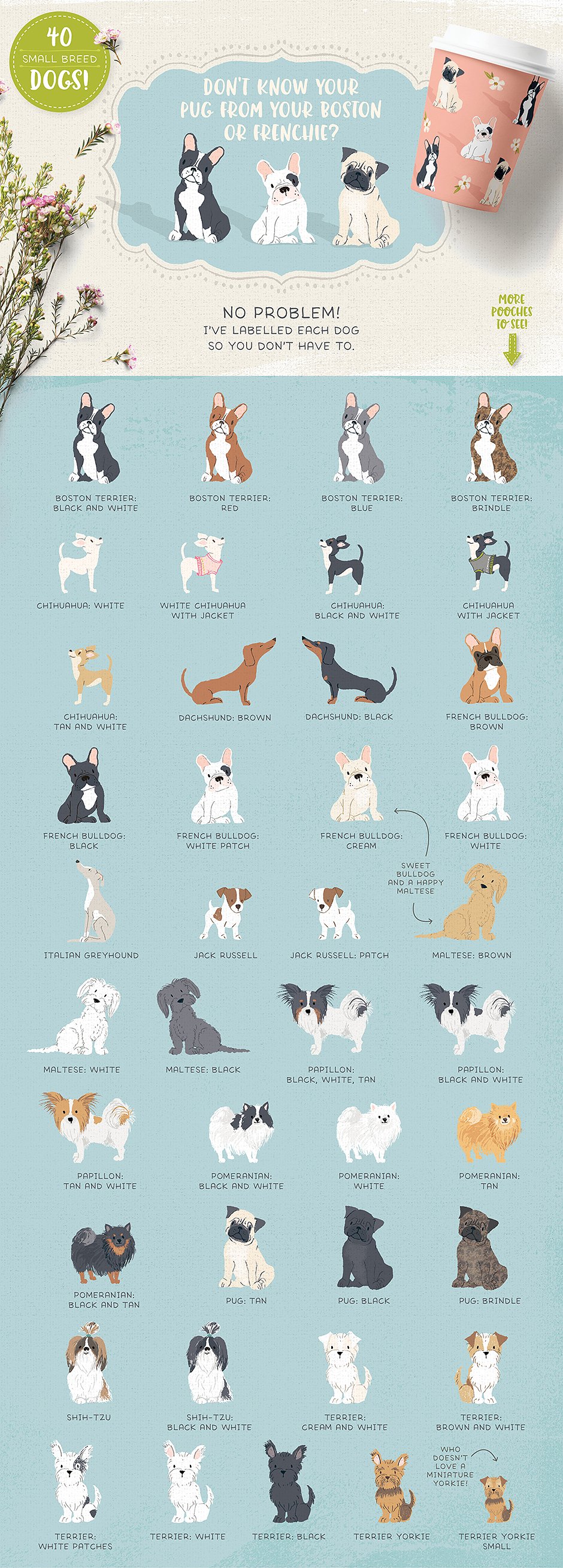 165种手绘动物设计素材 Cats-Dog-breeds-H
