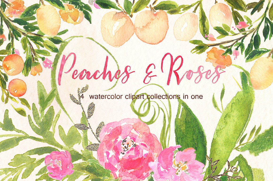 手绘水彩花卉桃子设计素材 Peaches-Roses-and