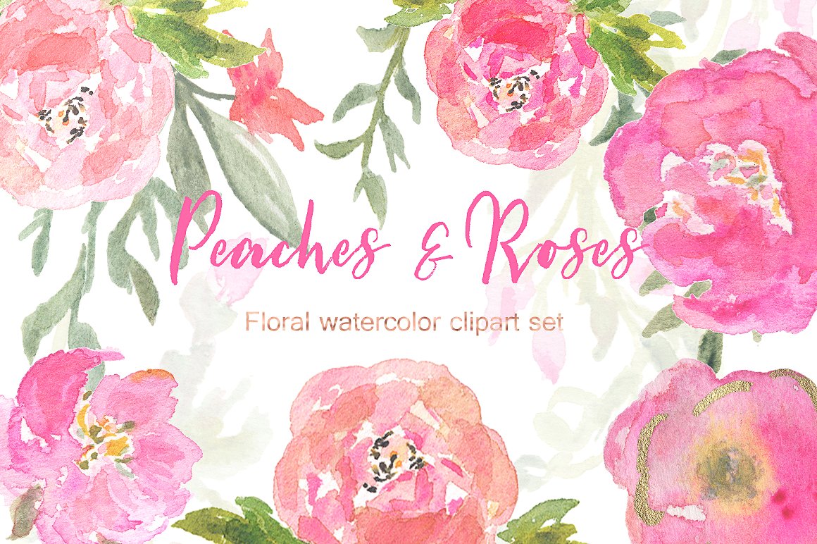 手绘水彩花卉桃子设计素材 Peaches-Roses-and