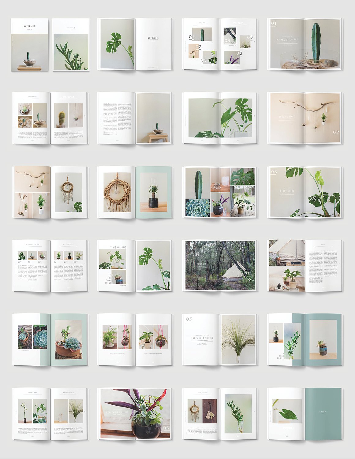 盆栽植物主题画册杂志设计模板 NATURALIS-Look-