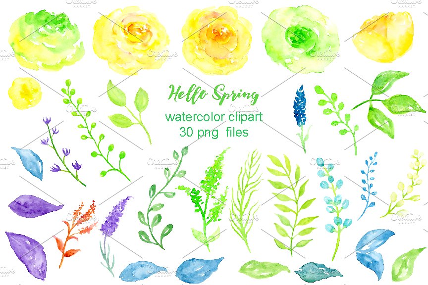 手绘水彩春天花卉植物设计素材 Watercolor-Clip