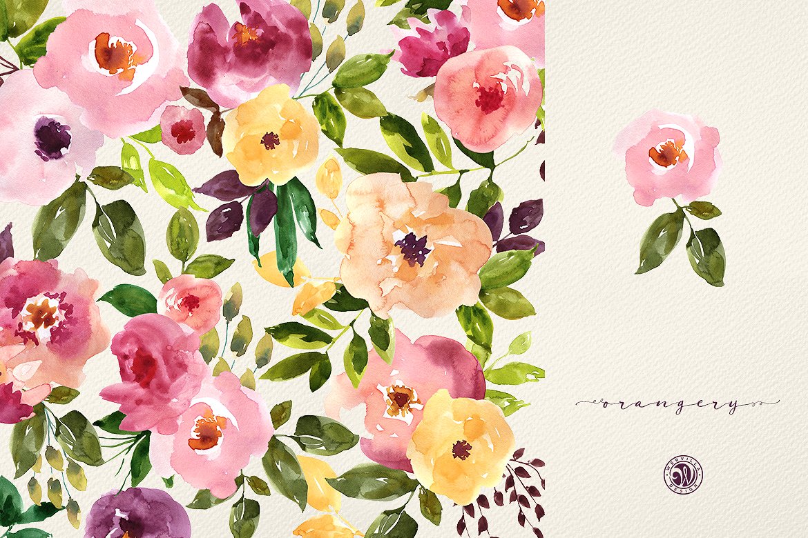 Orangery Watercolor Flowers