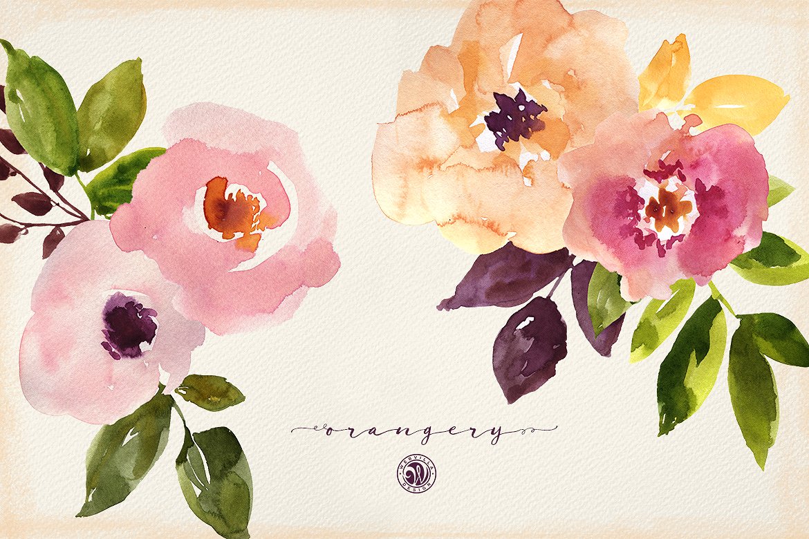 手绘水彩花卉植物设计素材Orangery Watercolo