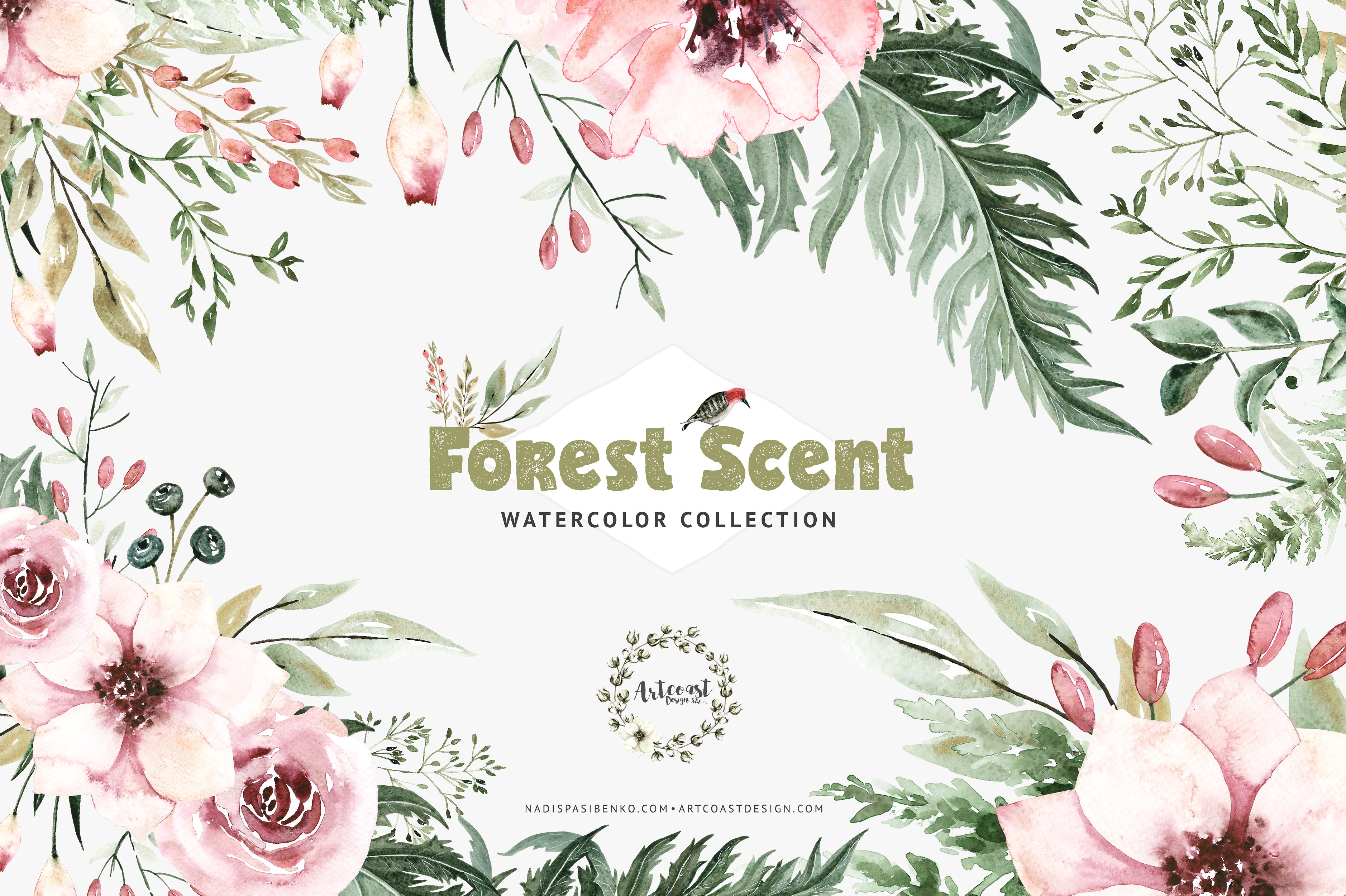 森林主题手绘水彩花卉植物树叶设计素材 Watercolor-